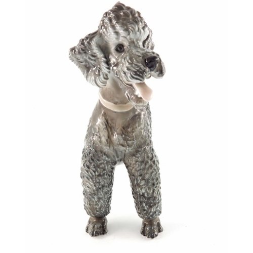 599 - Theodor Karner for Rosenthal, a figure of a poodle, impressed and printed marks 1211, 20cm high