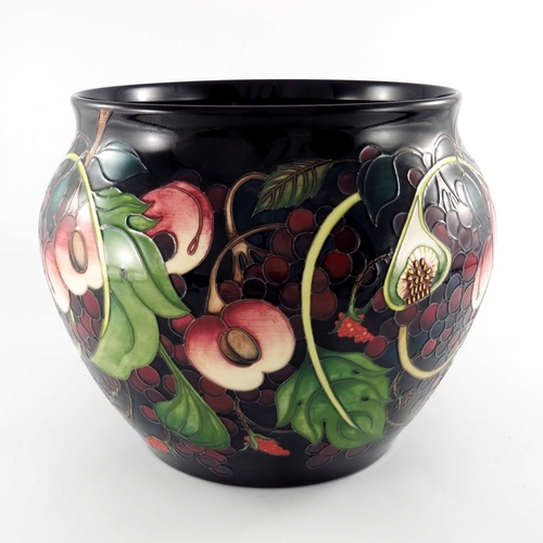 627 - Emma Bossons for Moorcroft, a large Queens Choice vase, circa 2000, ovoid form, impressed marks and ... 