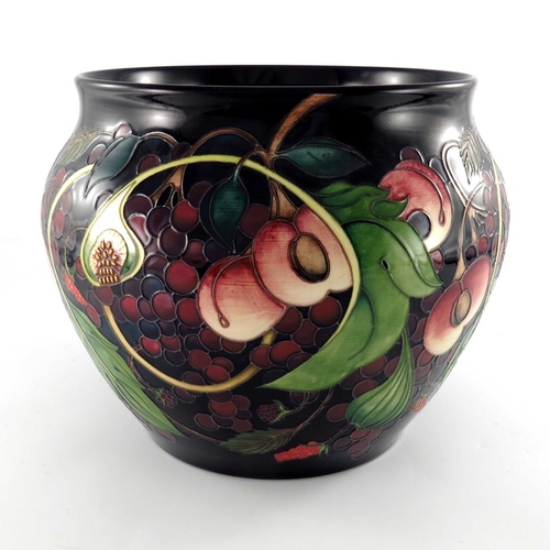 627 - Emma Bossons for Moorcroft, a large Queens Choice vase, circa 2000, ovoid form, impressed marks and ... 