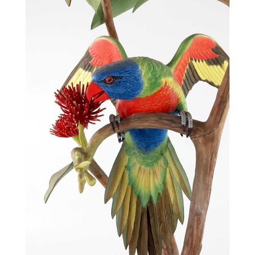 728 - James Alder for Royal Worcester, Rainbow Lorikeet on Eucalyptus, 1975, realistically modelled in bis... 