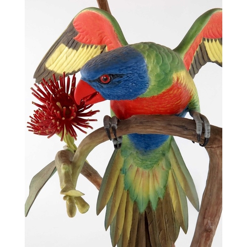 728 - James Alder for Royal Worcester, Rainbow Lorikeet on Eucalyptus, 1975, realistically modelled in bis... 