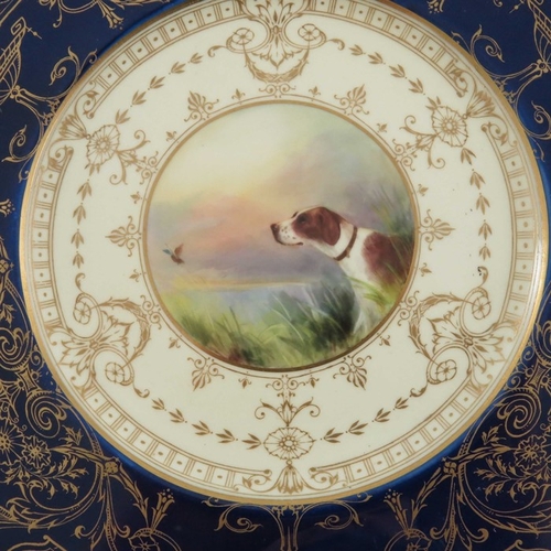 734 - A Royal Worcester painted cabinet plate, 1934, the central roundel decorated with a hunting dog and ... 