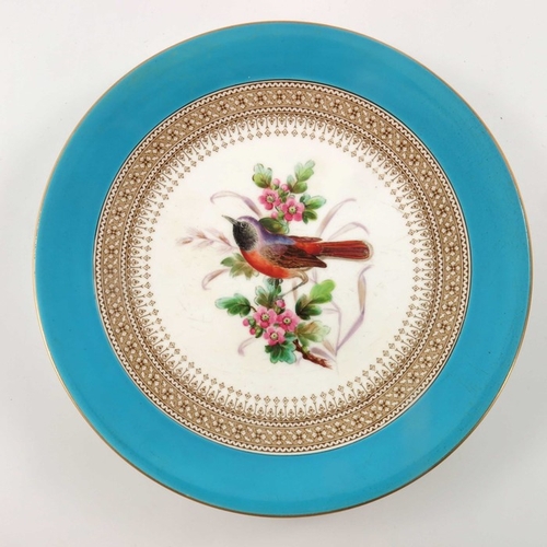 710 - John Hopewell (attributed) for Royal Worcester, a bird painted cabinet plate, within sky blue border... 