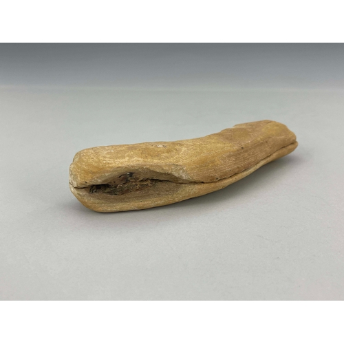 446 - A complete double fish fossil, 19.5cm long