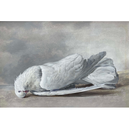 719 - Claude William Harrison (British, 1922-2009), still life of a dead white dove, signed l.r., dated 19... 