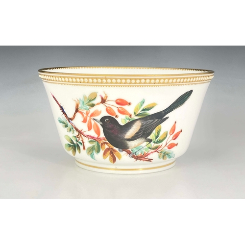 918 - John Hopewell for Royal Worcester, a bird painted bowl, decorated with a magpie on rosehip branch, t... 