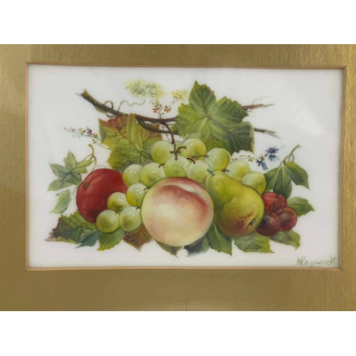 927 - William Rayworth, Crown Derby, a still life fruit painted opaque plaque, decorated with grapes, pear... 