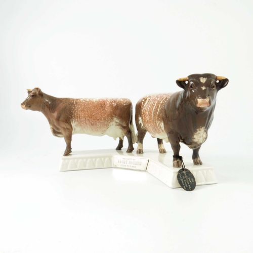 950 - A Beswick cattle group of a Dairy Short Horn cow and bull, model nos 1863 and 1504, mounted on a pli... 