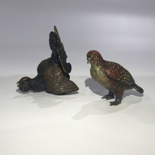 151 - Two Bergman style painted bronze figure, black grouse and companion, 9cm high (2)