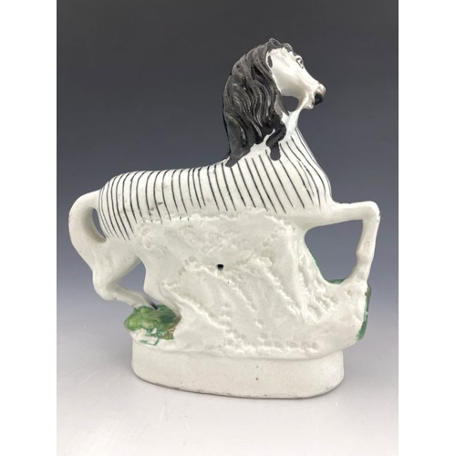 455 - A 19th century Staffordshire pottery model of a prancing zebra, modelled wearing reigns, naturalisti... 