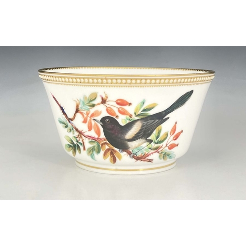 468 - John Hopewell for Royal Worcester, a bird painted bowl, decorated with a magpie on rosehip branch, t... 