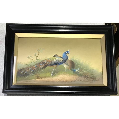 730 - A..Connelly (British, early 20th Century), pheasant in a landscape; peacocks in a landscape, a pair,... 