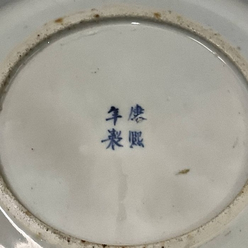 496 - A Chinese blue and white plate, Kangxi mark, prunus root and bird decoration, 24cm wide