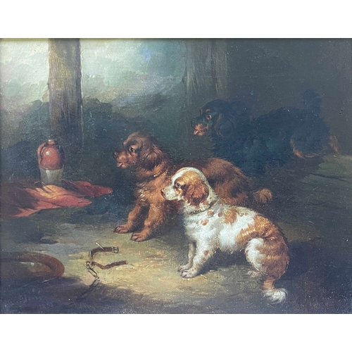 353 - Paul Jones (British, act.1855-1888), sporting dogs, a pair, one signed and dated 1855 l.l., oil on r... 