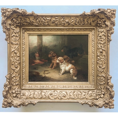 353 - Paul Jones (British, act.1855-1888), sporting dogs, a pair, one signed and dated 1855 l.l., oil on r... 