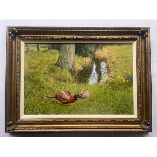 378 - Philip Gerrard (British, 1958), Spring Pheasants, signed l.r., titled verso, oil on board, 40 by 60c... 