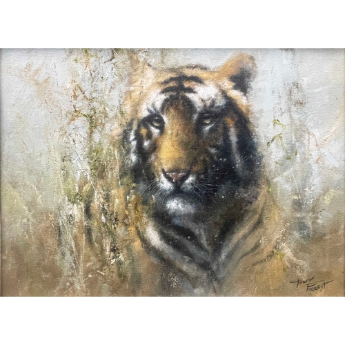 379 - Tony Forrest (British, 1961), tiger head, signed l.r., oil on canvas, 30 by 38cm, framed.  Note: Art... 