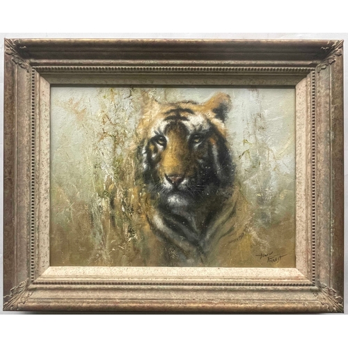 379 - Tony Forrest (British, 1961), tiger head, signed l.r., oil on canvas, 30 by 38cm, framed.  Note: Art... 