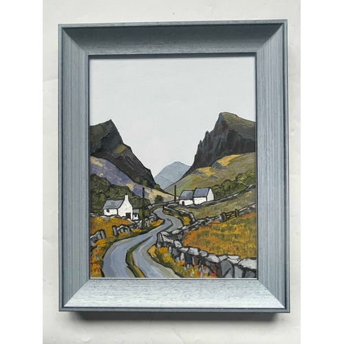 390 - David Barnes (British, 1942-2021), The Pass near Nantlle, signed and titled verso, oil on board, 40 ... 