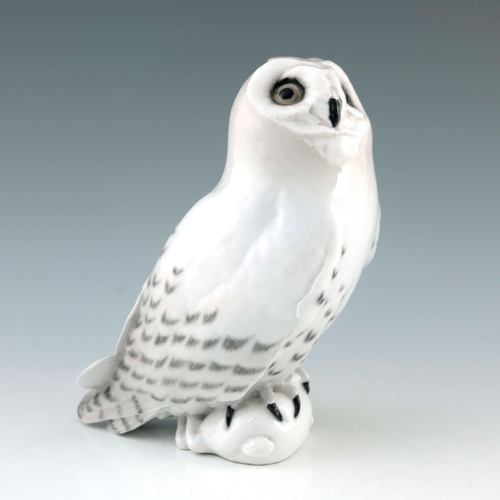 649 - A Royal Copenhagen model of a snowy owl with rabbit, 23cm high