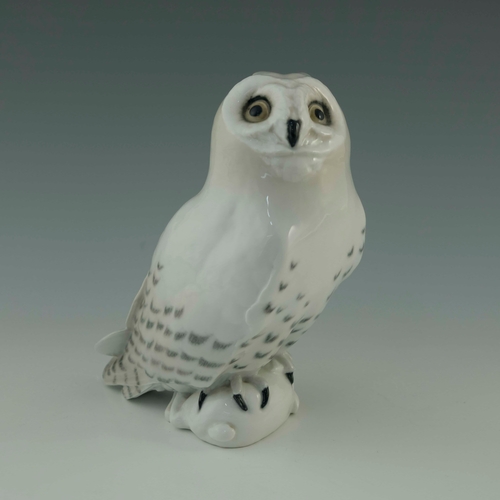 649 - A Royal Copenhagen model of a snowy owl with rabbit, 23cm high