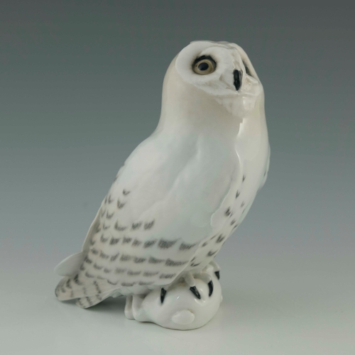 649 - A Royal Copenhagen model of a snowy owl with rabbit, 23cm high