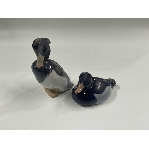 145C - Peter Herold for Royal Copenhagen, a tufted duck, modelled preening, shape No.1941, 12cm high, toget... 