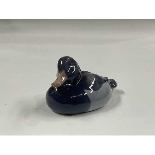 145C - Peter Herold for Royal Copenhagen, a tufted duck, modelled preening, shape No.1941, 12cm high, toget... 