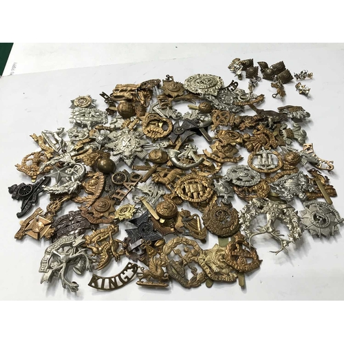 269 - A large collection of military cap badges etc