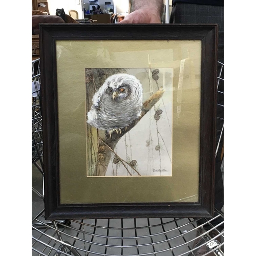 438 - R.H.Austin (1890-1955, Royal Worcester artist), owl, signed l.r., watercolour, 25 by 19cm, framed