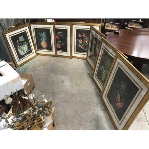 442 - After Arthur G. Brookshaw, still life studies, set of eight decorative prints, gilt frames (8)