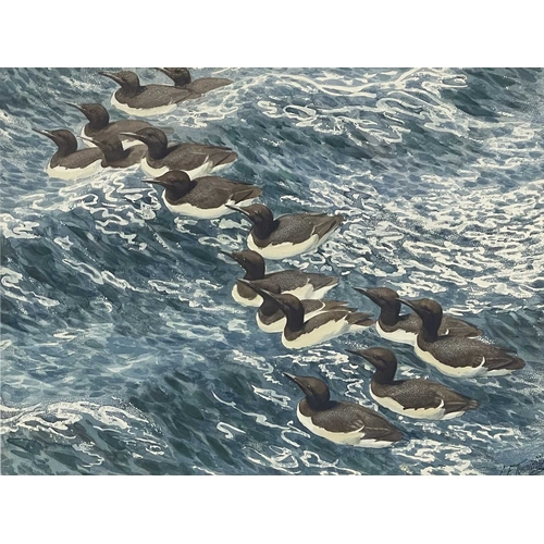 360 - Charles Frederick Tunnicliffe R.A. (British, 1901-1979), 'Summer Guillemots', signed l.r., titled ve... 