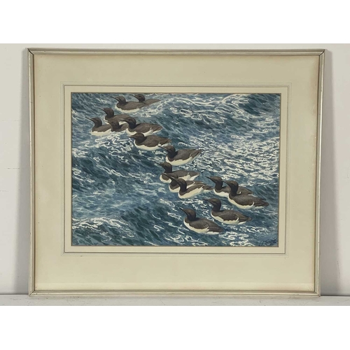 360 - Charles Frederick Tunnicliffe R.A. (British, 1901-1979), 'Summer Guillemots', signed l.r., titled ve... 