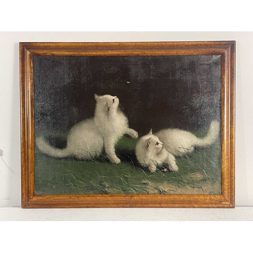 375 - Beno Boleradszky (Hungarian, 1885-1957), two white cats, signed u.r., oil on canvas, 60 by 80cm, fra... 