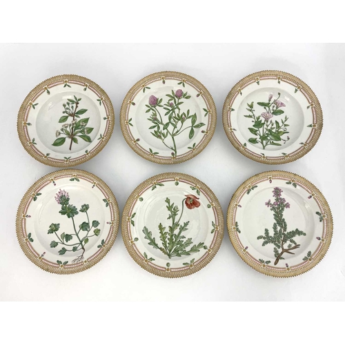 698 - Six Royal Copenhagen Flora Danica plates and dishes, gilt denticulated rims, each painted with a nam... 