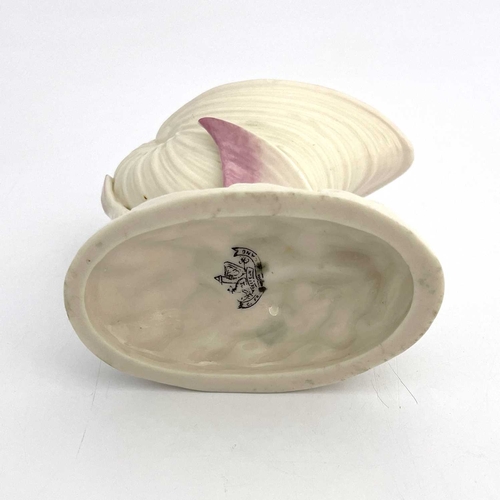 782 - A Belleek second period flying fish pedestal bowl, modelled as a shell supported by a winged fish on... 