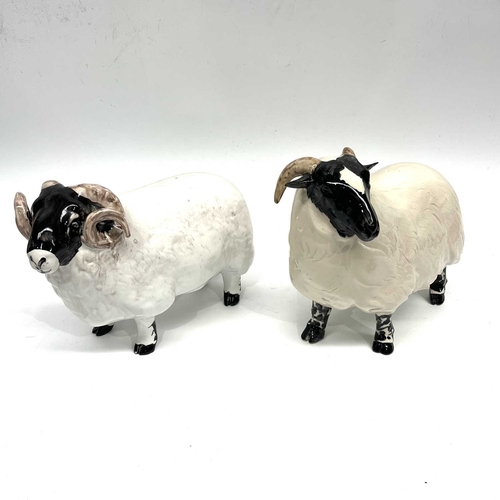 427 - David Sharp for Bayer, a coin bank in the form of a horned sheep, 19cm high, together with a similar... 