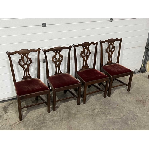 703 - A set of four dining chairs of Chippendale design, with carved splats and drop in seats (4)