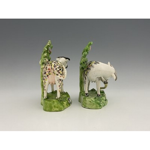 1008 - A pair of spongeware decorated figures of cows against bocage, Staffordshire, Tunstall Group, circa ... 