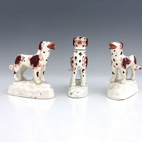 1014 - A group of Staffordshire dog figures, modelled standing on white bases, in iron brown and white colo... 