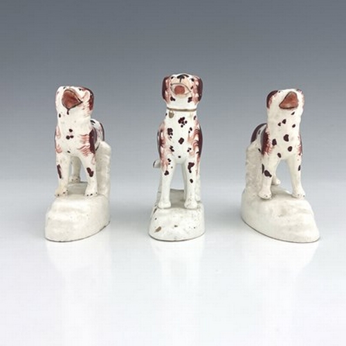 1014 - A group of Staffordshire dog figures, modelled standing on white bases, in iron brown and white colo... 