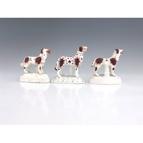 1014 - A group of Staffordshire dog figures, modelled standing on white bases, in iron brown and white colo... 