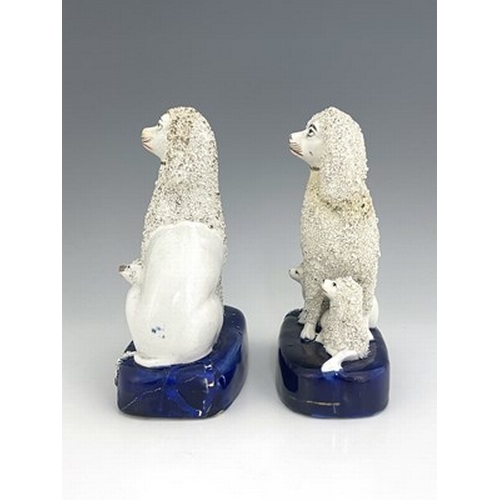 1023 - A matching pair of Staffordshire pottery poodle groups, circa 1860, modelled as seated mothers guard... 