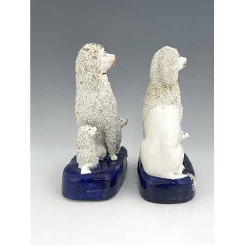 1023 - A matching pair of Staffordshire pottery poodle groups, circa 1860, modelled as seated mothers guard... 