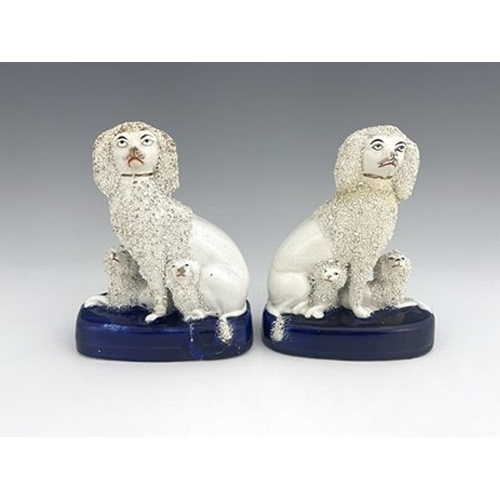 1023 - A matching pair of Staffordshire pottery poodle groups, circa 1860, modelled as seated mothers guard... 