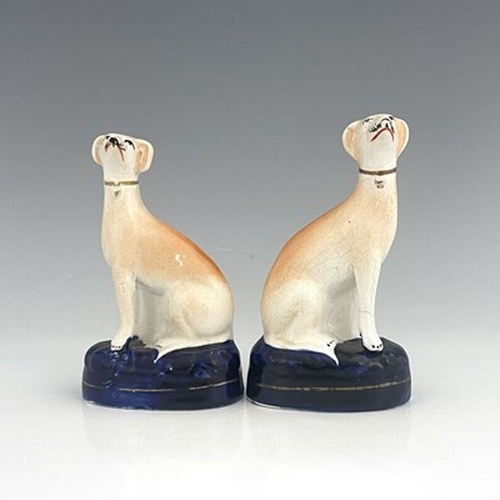 1043 - A pair of Staffordshire greyhounds, circa 1860, painted in light brown enamel, seated on cobalt blue... 