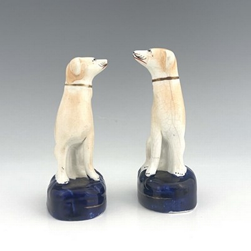 1043 - A pair of Staffordshire greyhounds, circa 1860, painted in light brown enamel, seated on cobalt blue... 