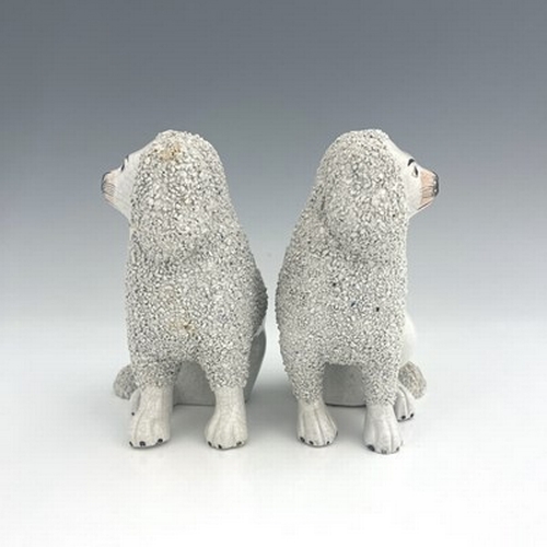 1045 - A Staffordshire matching pair of poodles, circa 1860, seated figures modelled as part-shaved poodles... 