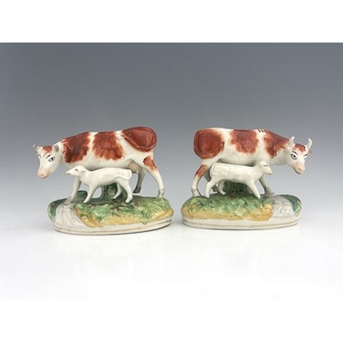 1059 - A pair of Staffordshire cows with calves, modelled standing beside a running stream with gilt line t... 