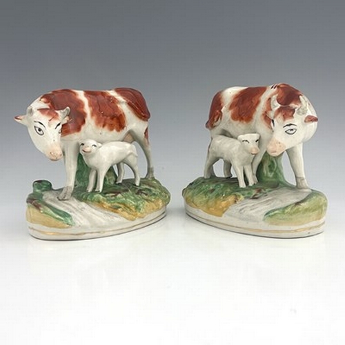 1059 - A pair of Staffordshire cows with calves, modelled standing beside a running stream with gilt line t... 